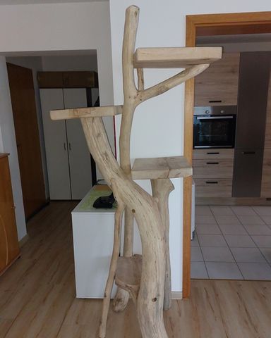 Katzenbaum Natur  Buche u. Birke